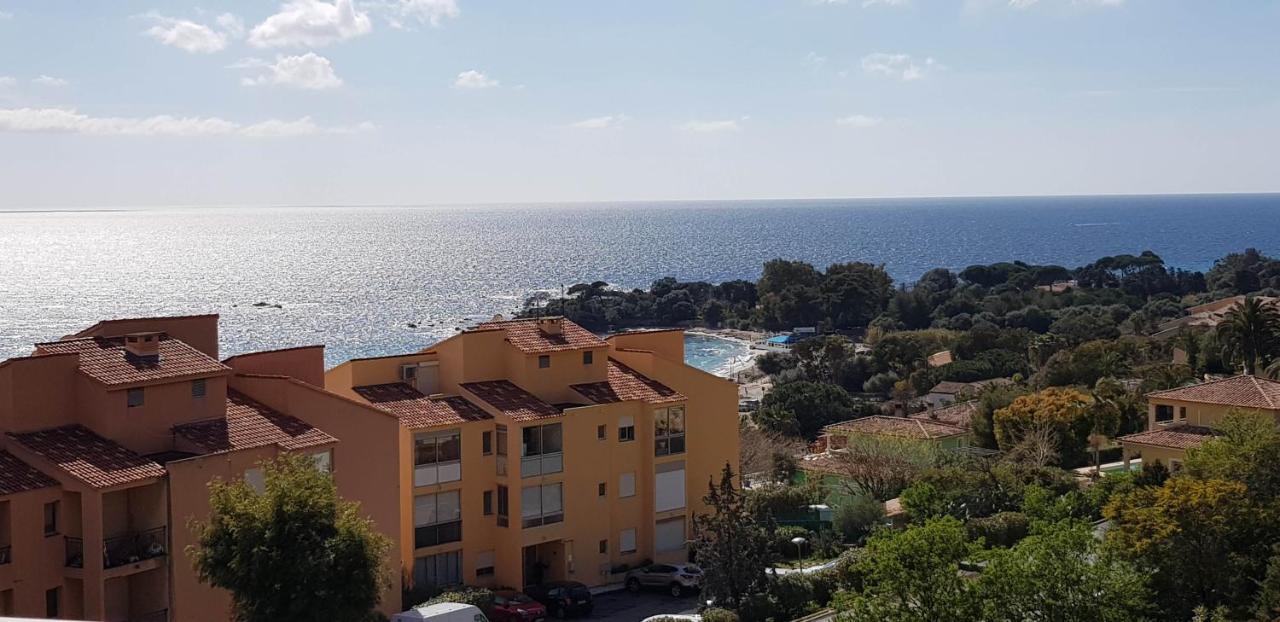 T1 Vue Mer Bord De Mer Ajaccio Ajaccio (Corsica) Exterior foto